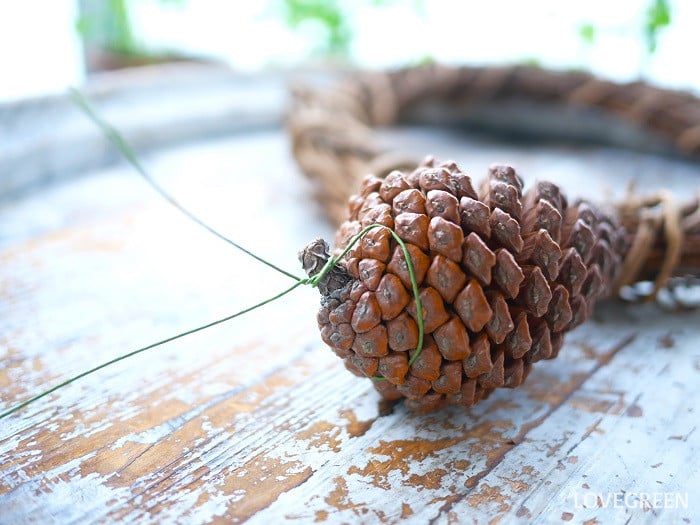 松ぼっくりのワイヤリング