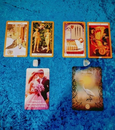 アヤパン花占い　スプレーマム