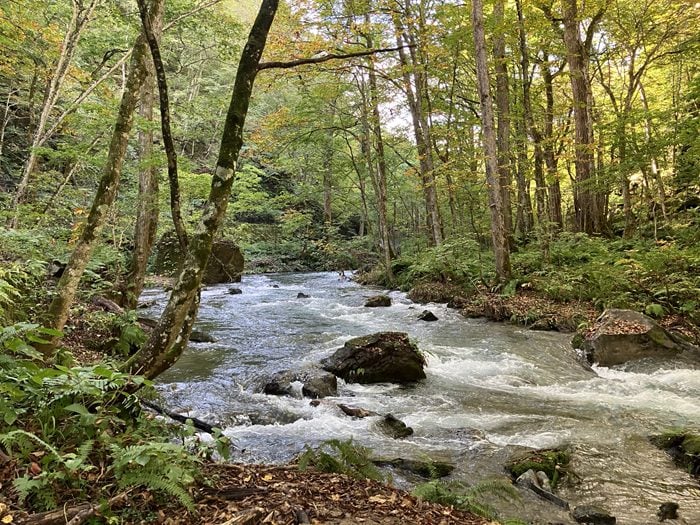 二宮孝嗣の「自然・植物よもやま話