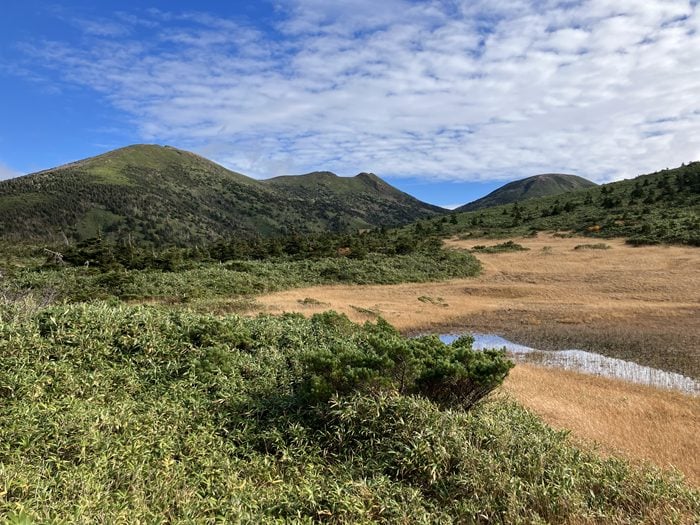 二宮孝嗣の「自然・植物よもやま話