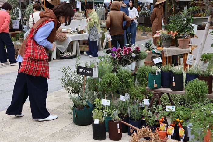 GREEN MARKET 2025秋