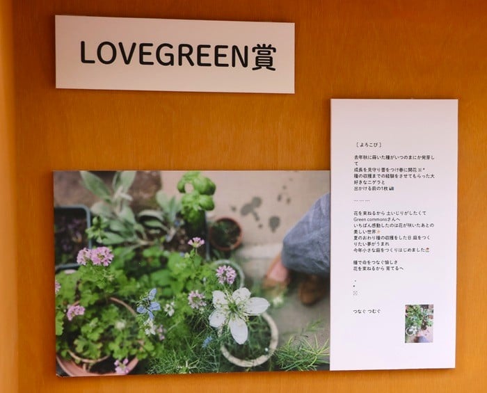 GREEN MARKET 2025秋