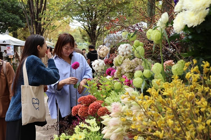 GREEN MARKET 2025秋