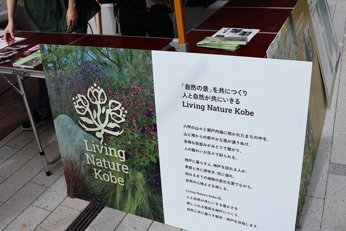 GREEN MARKET 2025秋