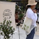 GREEN MARKET 2025秋