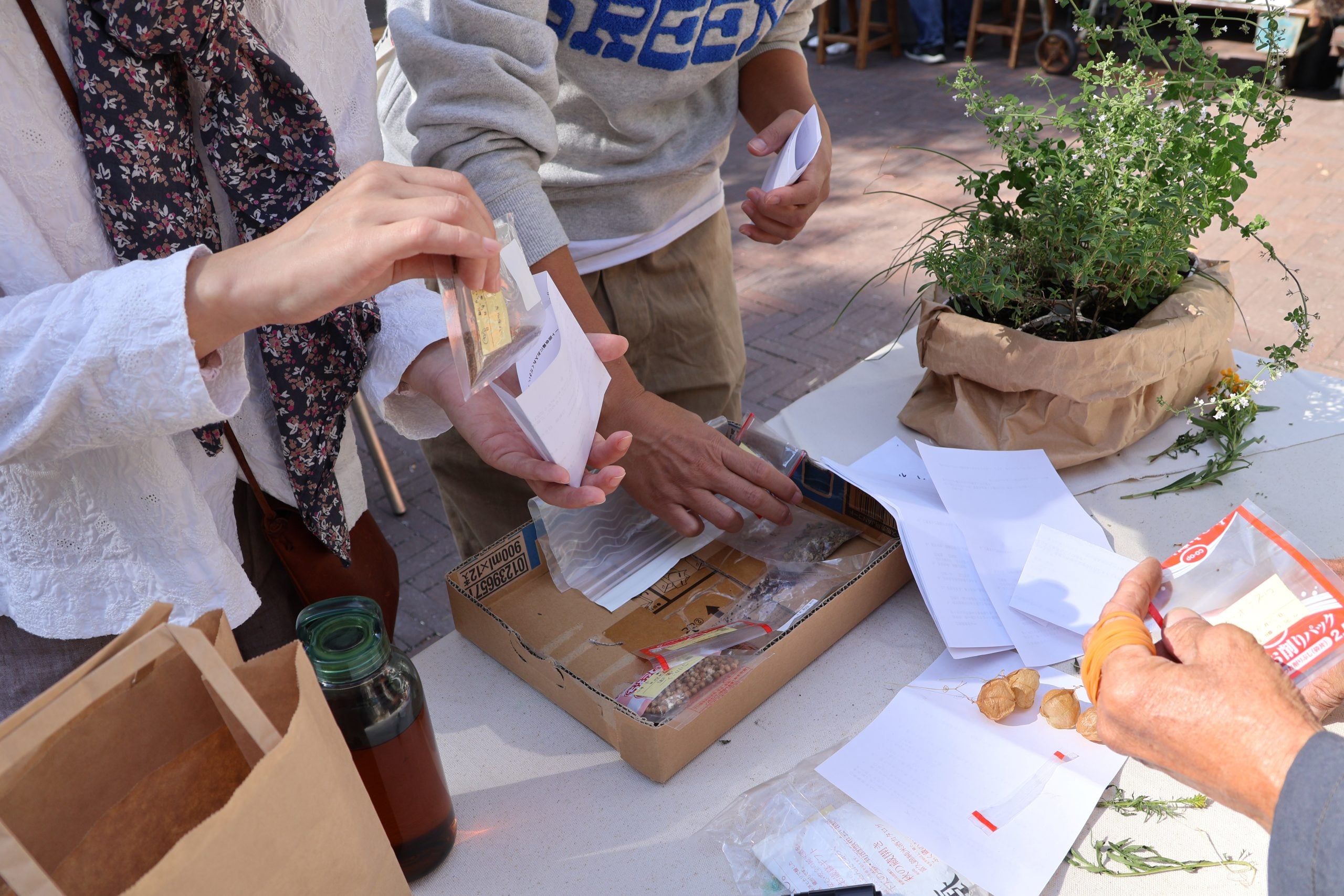 GREEN MARKET 2025秋