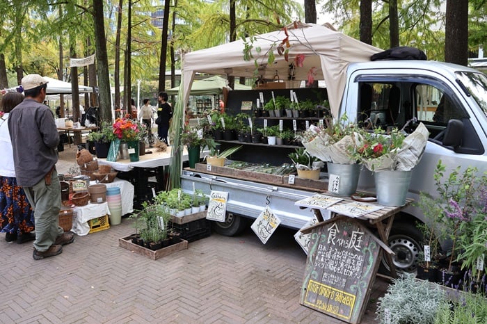 GREEN MARKET 2025秋