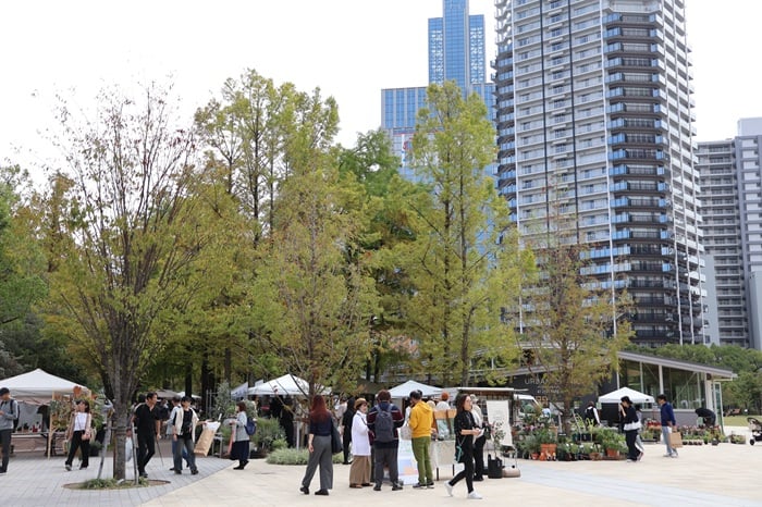 GREEN MARKET 2025秋