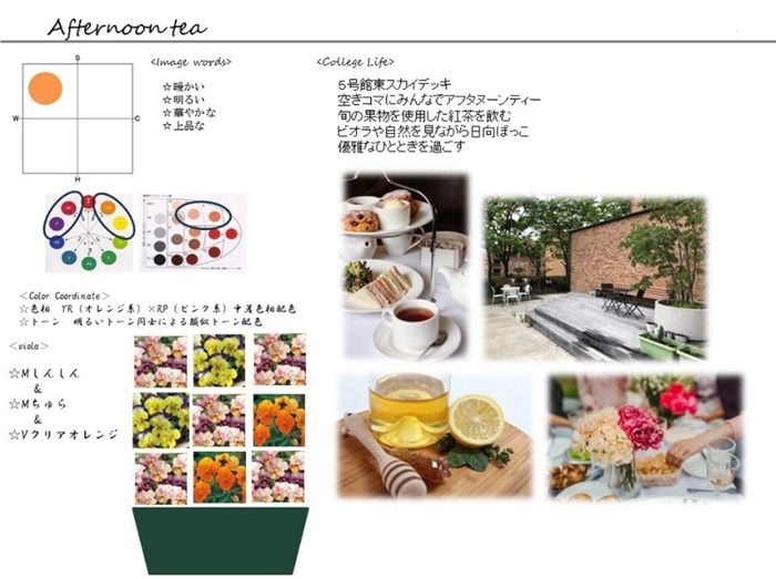 神戸松蔭大学　花田ゼミ