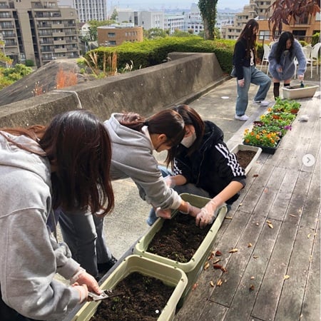 神戸松蔭大学　花田ゼミ