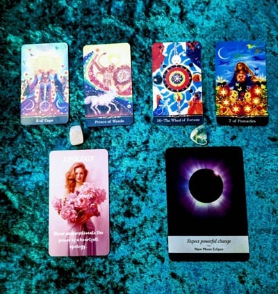 アヤパン　花占い