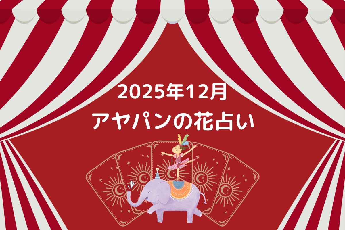 アヤパン　花占い