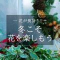 12月特集冬こそ花を楽しもう