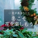 12月特集冬こそ花を楽しもう