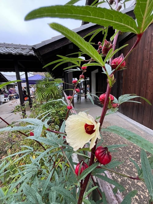 フォトコンテスト入賞者写真