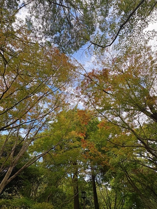 フォトコンテスト入賞者写真