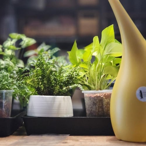 GREEN MARKET フォトコンテスト入賞者写真