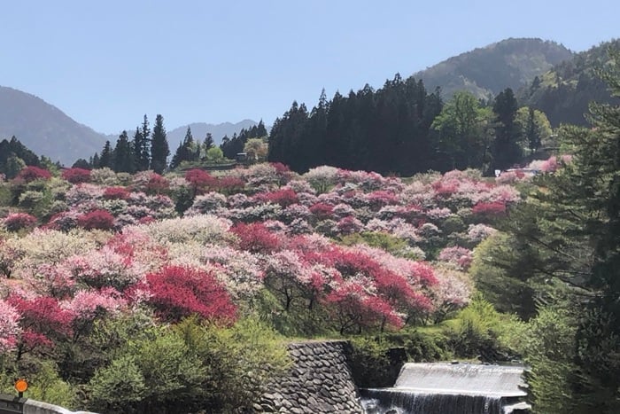 photo by 二宮孝嗣　阿智村の園原
