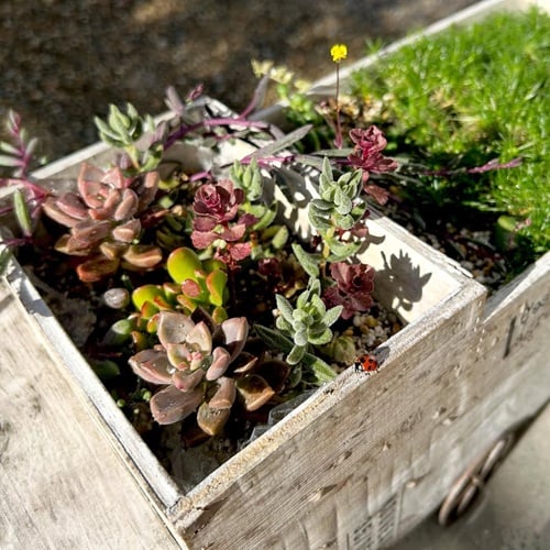 GREEN MARKET
フォトコンテスト入賞者写真