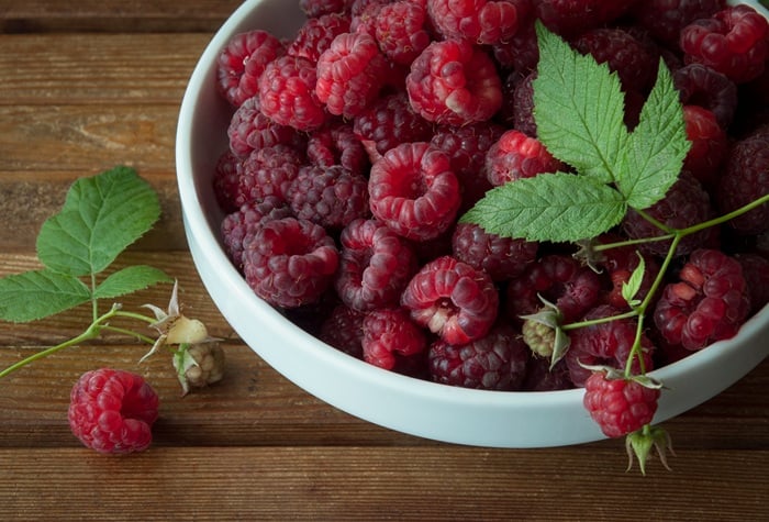 フランスで親しまれる「造血のビタミン」ラズベリー｜山下智道の世界の文化と植物紀行#9