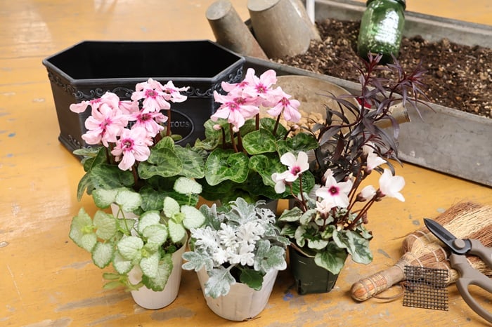 黒田健太郎さん