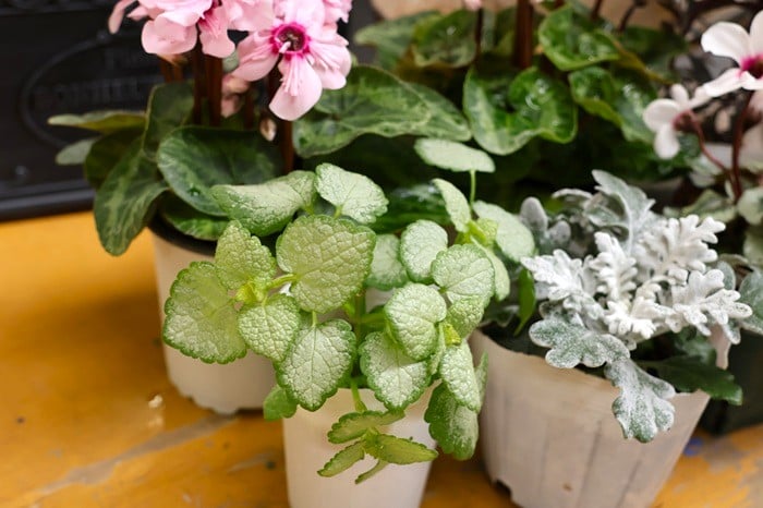 黒田健太郎さん