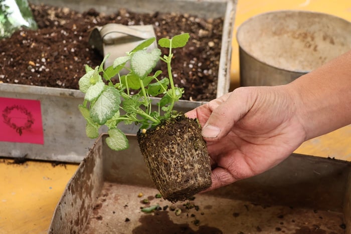 黒田健太郎さん