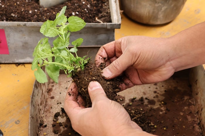 黒田健太郎さん