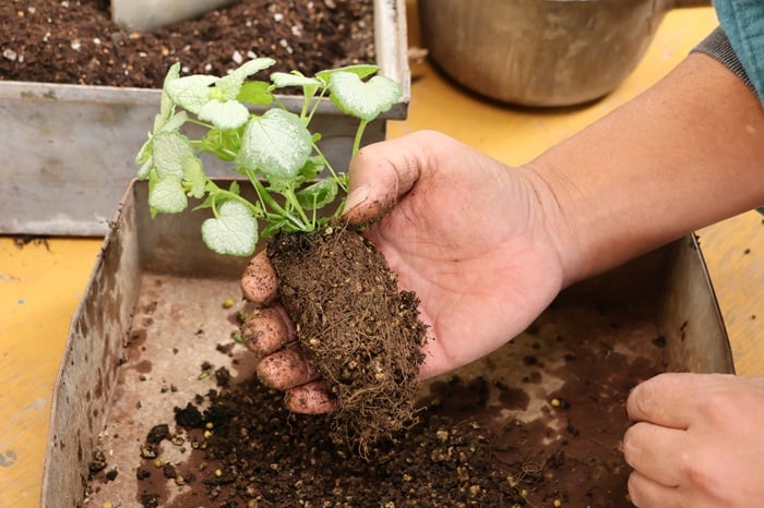 黒田健太郎さん