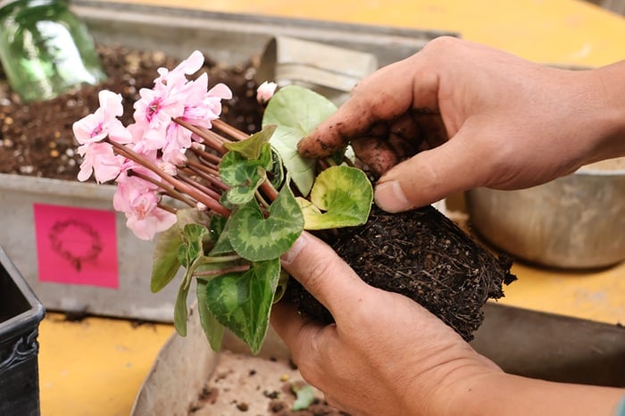 黒田健太郎さん