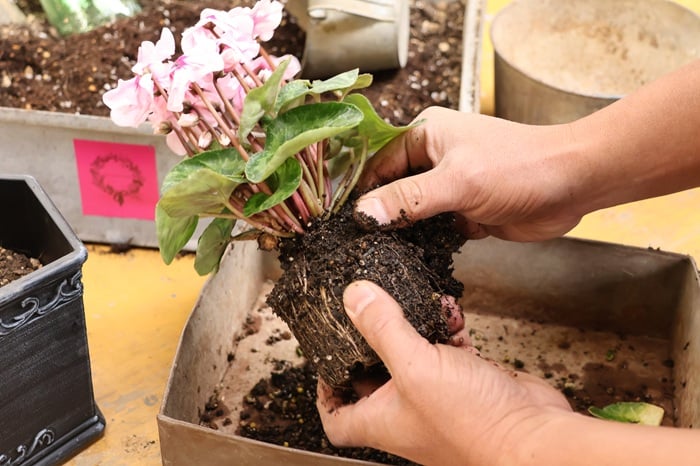 黒田健太郎さん