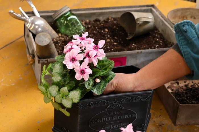 黒田健太郎さん