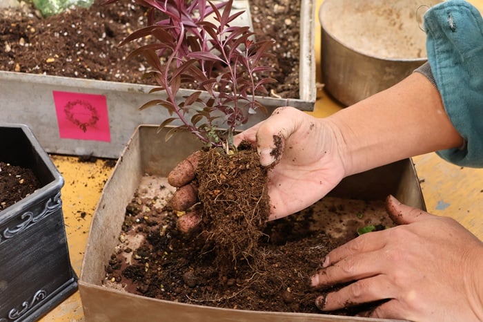 黒田健太郎さん