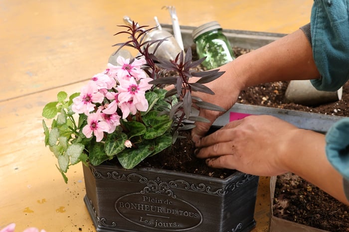 黒田健太郎さん