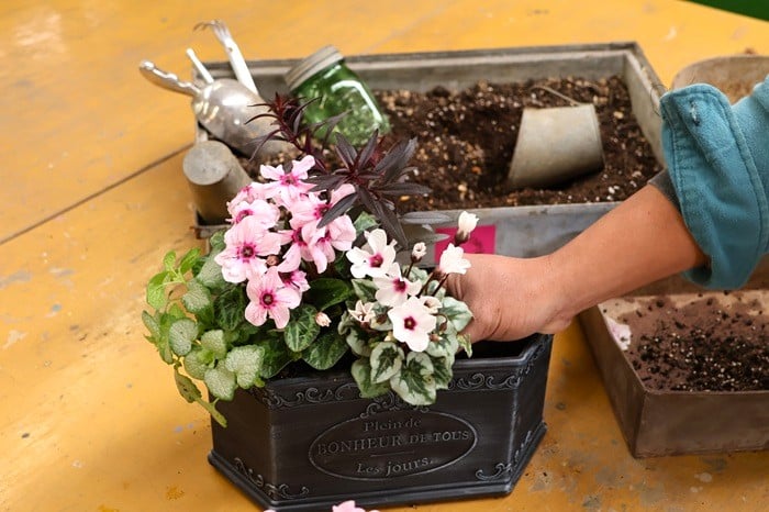 黒田健太郎さん