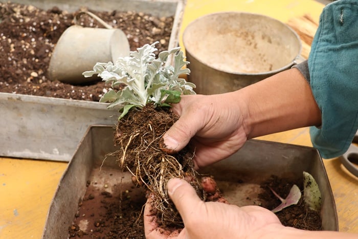 黒田健太郎さん