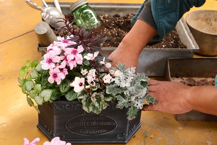 黒田健太郎さん