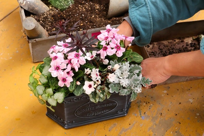 黒田健太郎さん