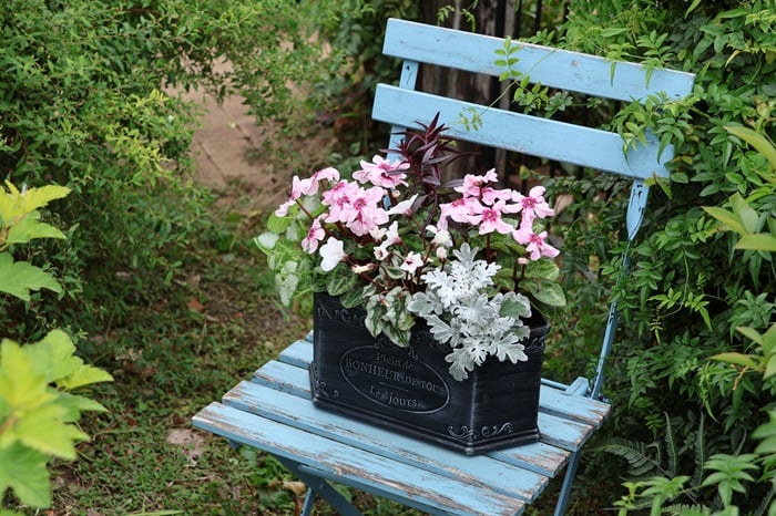 黒田健太郎さん