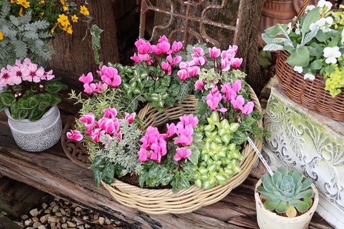 黒田健太郎さん