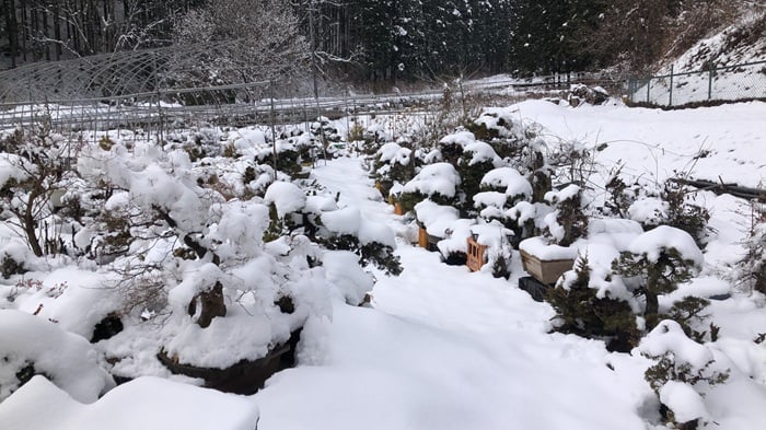 photo by 二宮孝嗣　阿智村