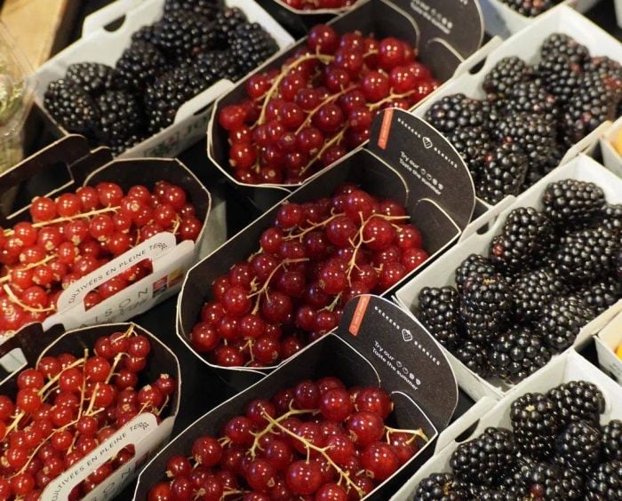 フランスで親しまれる「造血のビタミン」ラズベリー｜山下智道の世界の文化と植物紀行#9