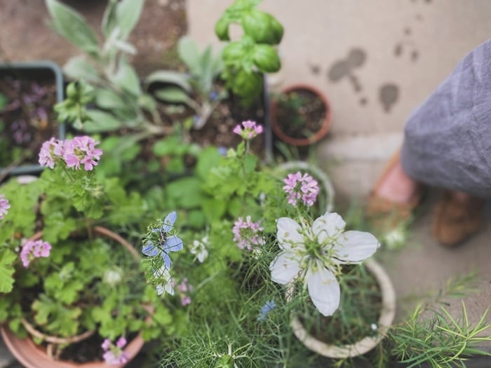 フォトコンテスト入賞者写真