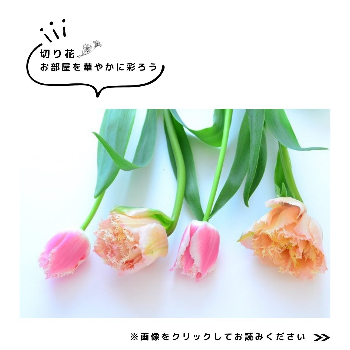 特集　冬こそ花を楽しもう　切り花