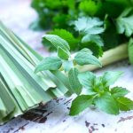 ハーブの保存方法