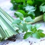 ハーブの保存方法