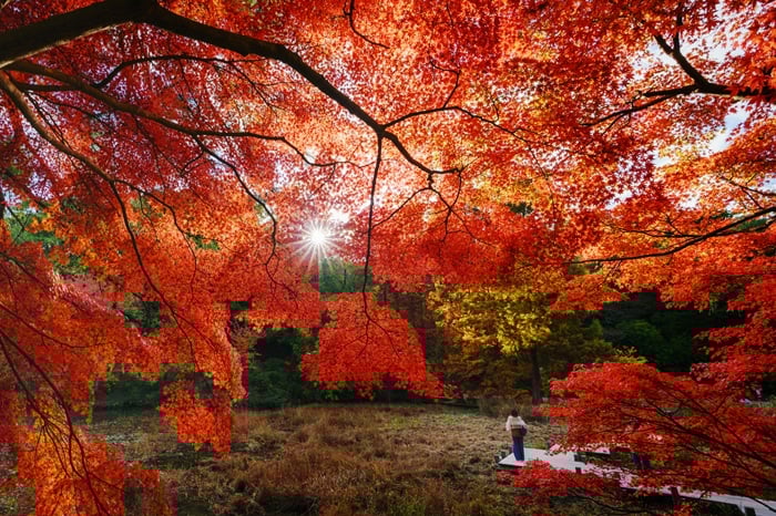 GREEN MARKET
フォトコンテスト入賞者写真