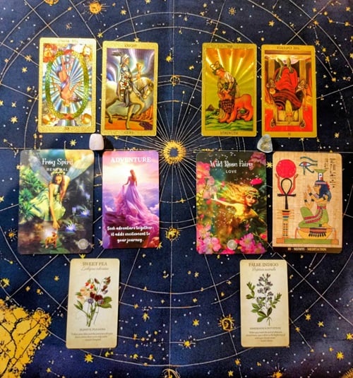 2026年アヤパン花占い1月　ロウバイ