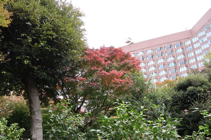 ホテル椿山荘東京　ムーミン