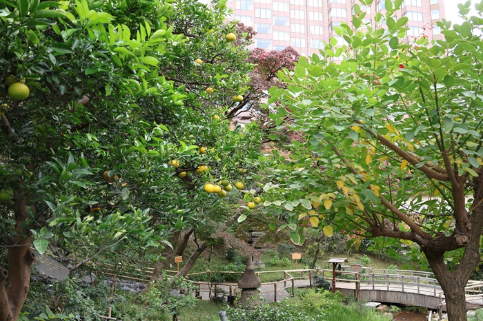 ホテル椿山荘東京　ムーミン